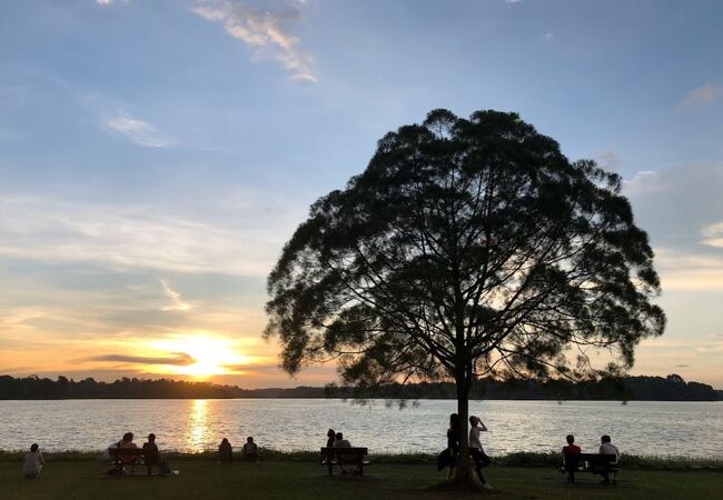 シンガポールのローカル公園をいくつか紹介<br /><br />一か所目は、Labrador Nature Reserve。<br />2か所目は、夕日に1本木がインスタ映えするUpper Seletar Reservoir。<br />3か所目は、シンガポール西端のTuas Linkの灯台です（公園ではないけど・・・）