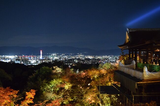 晩秋の京都 ２泊３日 （２）二条城～清水寺～平等院