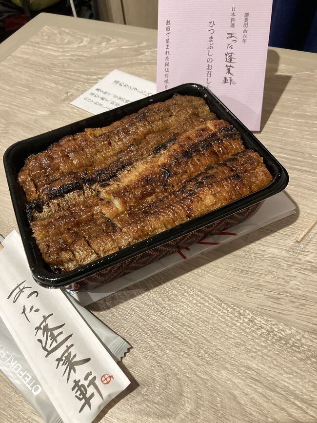 東海道新幹線のぞみN700系Sでサクっと名古屋に行ってきました。今回で二度目の名古屋でしたが、独自のグルメ、カルチャーが大好きになりました!またひつまぶし食べに行きたいです。