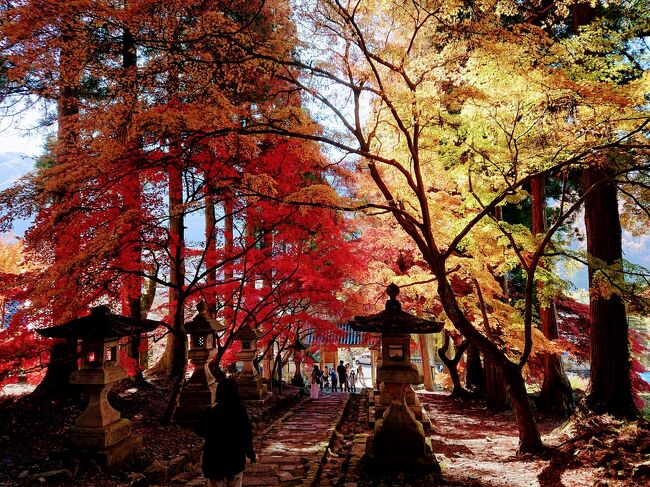 清水寺（せいすいじ）の紅葉のトンネルと川中島古戦場公園の紅葉