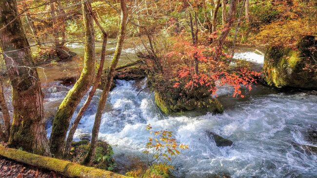 紅葉の奥入瀬渓流と前から行ってみたかった浅虫温泉。そして観光レストラン列車東北エモーションに乗車する旅です。<br />今回も長女と親娘旅てす。お天気に恵まれて良い旅になりました。<br /><br />2日目は、ホテルのアクティビティを申し込んでました。紅葉プレミアムオープンバスツアーと渓流テラスの朝食を楽しんで、みずうみ号で青森駅迄行き、浅虫温泉へむかいました。<br />