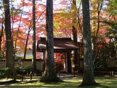 秋の大阪と京都・2021 １泊２日 ②紅葉の京都大原