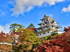 2021　紅葉を訪ねて（2)　秋の絶景・郡上八幡城の紅葉