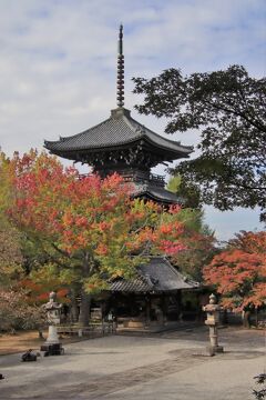 ２０２１秋の京都へ！その⑤三井家の菩提寺『真如堂』へ！