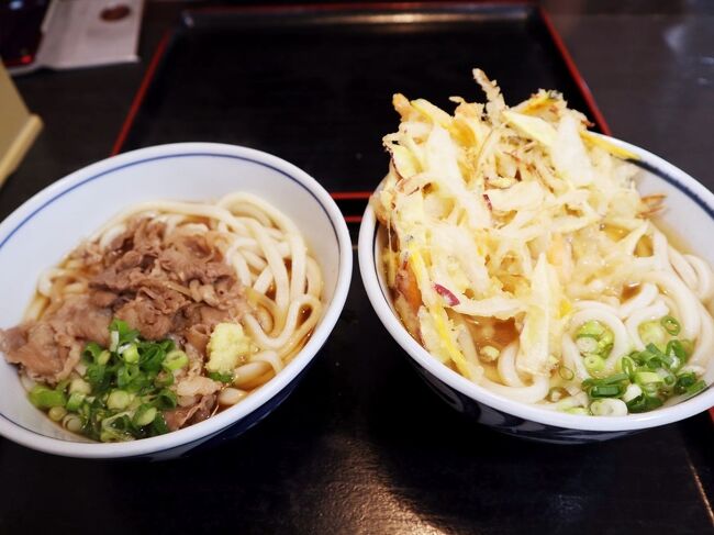 コロナ前まで、当たり前のように、いつでも行きたい時に好きなだけ…<br />讃岐うどんを食べに行く…なんて当たり前にできていたことだったのに。<br />そんな当たり前のことが、急にできなくなっちゃって。<br /><br />前回、讃岐うどんを食べるために、香川県に行ったのはいつだったかな?<br /><br />コロナが蔓延し始めて、県を跨いでの行動を自粛することが当たり前になり、自粛警察なるものが現れて、、、<br />他府県ナンバーで遠方に行くのは躊躇われるようになった。<br /><br />特に陽性者の多い都会から、田舎への移動は1番してはダメだよね。<br />讃岐うどん屋さんは、個人経営の小さなお店が多くて、密になりやすいもんね…って気持ちもあって、ずっとずっと行きたい行きたいと思いながらも行けないなぁ~。<br /><br />そんな中、ワクチン接種が随分と進み、そろそろ行っても良いかな♪と、勝手な自己判断だったけれど、久しぶりに行っちゃいました。<br />やっぱり、本場の讃岐うどんは美味しいわ。<br />でも、何軒も梯子するのはしんどい胃袋になってきた…<br />え~っ、今までの最低記録更新ですかっ。3軒しか行けなかったー(笑)<br /><br />うどんうどんうどん、そして骨付鳥。<br />それしかない旅行記ですが、良かったらご覧くださいね♪<br /><br /><br />ロイヤルパークホテル高松 https://ryl.anabuki-enter.jp/<br />寄鳥味鳥 https://tabelog.com/kagawa/A3701/A370101/37000753/<br />麺むすび https://menmusubi.business.site/<br />うどん大蔵 https://www.teuchi-udon-okura.com/<br />さぬき麺業 https://www.sanukiudon.co.jp/