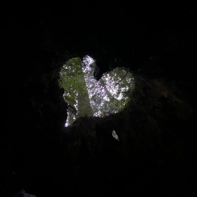 屋久島の登山の備忘録です