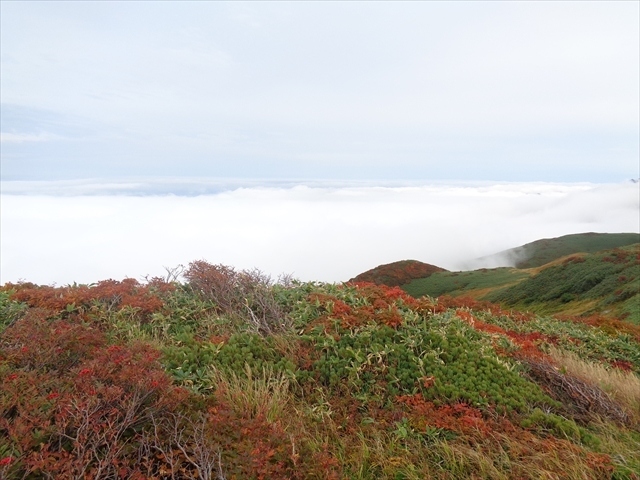 紅葉探し【新潟・頼母木山（Mt. Tamogi）編&#917763;】