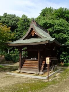 六国史の旅　大津皇子フィールドノート4　「奈良六大寺大観・薬師寺」読みました。されどロマン・・・