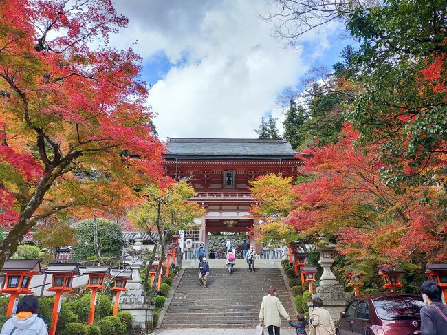 コロナ禍のうちに、例年混雑必須の京都の紅葉を見ておこうと京都へ。<br />念願の鞍馬寺は、11/12時点でほぼ見頃、貴船神社はちょっと早かったです。<br />鞍馬寺→貴船神社までハイキングしたことはとてもよい思い出になりました。