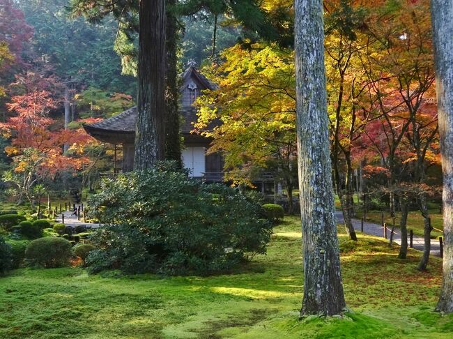 大原の四季　　　秋　　　　三千院の紅葉