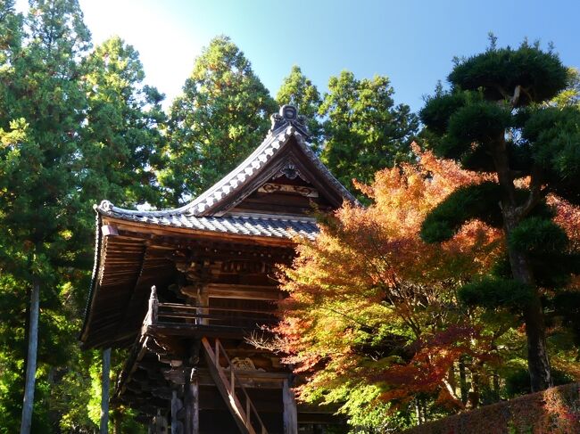 桐生市の「鳳仙寺」へ、紅葉を見に行きました。「鳳仙寺」は、桐生J城主の由良成繁公が自らの菩提寺として開基した、曹洞宗のお寺です。紅葉は、一部が色付き始めていましたが、全体としては、まだまだミドリが多く、”紅葉狩り”には早過ぎました。最盛期がどのくらいなのか分からないので、”紅葉狩り”が出来るほどに色付くのか、機会があれば再訪したいと思います。