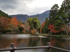 紅葉を求めて　湯布院、ゆらり六妙　九重、スパグリネスへ