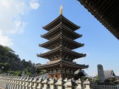 サイクリングで法然寺へ