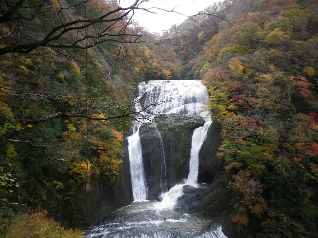 茨城県北の袋田方面に行ってきました、月居（つきおれ）山にも登り袋田の景色を山の上からも堪能です。<br />きつい山登りですが、温泉もいろいろあっていいところです。