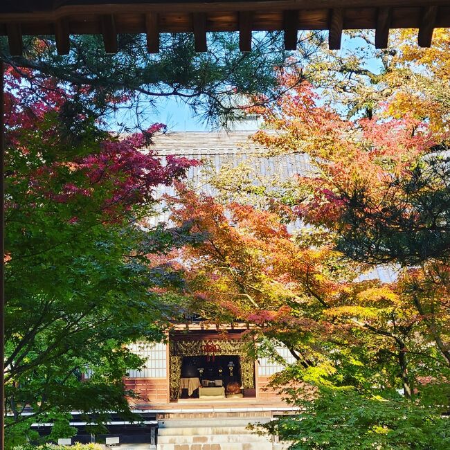 シニアトラベラー！小倉・博多満喫の旅⑧