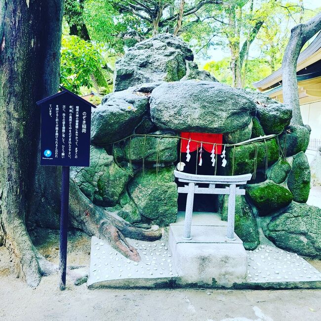 昨年の福岡旅行記での情報提供等々、4トラがご縁で親しく情報交換させていただいている方がいます。福岡スペシャリストのよしめ様(ご本人に了解いただいております!)です!今回は「マダムの暮らすように旅する福岡旅行」に一部ジョイントさせていただく形で小倉・博多を満喫して来ました!30,000JALeポイント利用で浮いた分をグルメや観光に活用し楽しく充実した旅行になりました!よしめ様コーディネートの「食べっ子くらぶ」では大変お世話になり感謝感激雨嵐です!笑<br /> あまりの楽しさに細かく記憶と記録に残したいと自分本意に超大作①から⑩になってしまいました。笑<br /> 宜しければ目を通してみて下さい!<br />①11月12日羽田~小倉前半<br />②11月12日小倉後半~夜景ツアー<br />③11月13日小倉街歩き<br />④11月13日小倉城・街歩き<br />⑤11月14日小倉~博多街歩き<br />⑥11月14日博多夜景ツアー<br />⑦11月15日博多街歩き前半<br />⑧11月15日博多街歩き後半<br />⑨11月16日博多寺社巡り<br />⑩11月16日博多寺社巡り~羽田