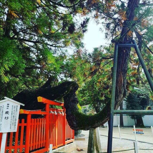 昨年の福岡旅行記での情報提供等々、4トラがご縁で親しく情報交換させていただいている方がいます。福岡スペシャリストのよしめ様(ご本人に了解いただいております!)です!今回は「マダムの暮らすように旅する福岡旅行」に一部ジョイントさせていただく形で小倉・博多を満喫して来ました!30,000JALeポイント利用で浮いた分をグルメや観光に活用し楽しく充実した旅行になりました!よしめ様コーディネートの「食べっ子くらぶ」では大変お世話になり感謝感激雨嵐です!笑<br /> あまりの楽しさに細かく記憶と記録に残したいと自分本意に超大作①から⑩になってしまいました。笑<br /> 宜しければ目を通してみて下さい!<br />①11月12日羽田~小倉前半<br />②11月12日小倉後半~夜景ツアー<br />③11月13日小倉街歩き<br />④11月13日小倉城・街歩き<br />⑤11月14日小倉~博多街歩き<br />⑥11月14日博多夜景ツアー<br />⑦11月15日博多街歩き前半<br />⑧11月15日博多街歩き後半<br />⑨11月16日博多寺社巡り<br />⑩11月16日博多寺社巡り~羽田