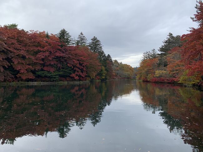 軽井沢で紅葉を楽しみました。
