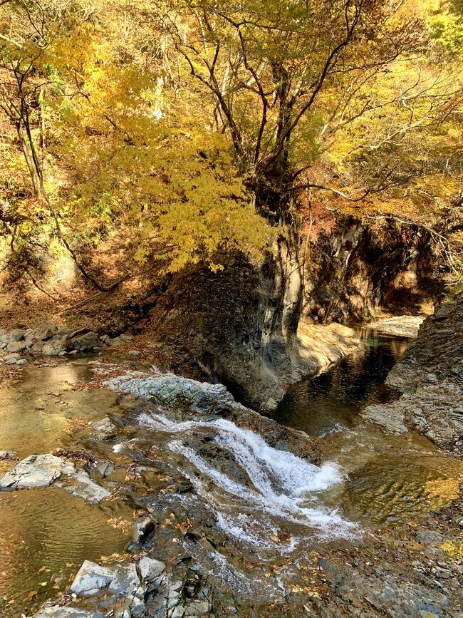 11月5日~6日の2日間で群馬県四万温泉へリベンジ旅行へ出かけました。<br />リベンジのお宿”時わすれの宿 佳元”さんのお食事も温泉も女将さんもスタッフの皆さんも最高で、四万温泉のリベンジ大成功\(^o^)/になりました!!<br /><br />2日目はお宿を後にして、先ずは昨日夕方に行った奥四万湖へもう一度行って午前中の四万ブルーを。。<br />とっても綺麗な紅葉街道を走って名所の四万甌穴へ。。<br />ここは真っ赤な紅葉ではなくて黄金色に輝く黄葉で川の流れととっても合っていて心が安らぐ所でした♪<br />甌穴を後にして行ってみたかった、みなかみの”たくみの里”へ。。<br />ちょっとイメージしていた感じと違っていたのだけれど、のんびり見て回って。。<br />お昼はどこも混んでいたので、次のお目当て赤城自然園への途中で高速道路の赤城サービスエリアでお昼を頂いて。。<br />赤城自然園の真っ赤に燃える紅葉に出会う事が出来ました(^^♪<br /><br />2日目も紅葉&黄葉の写真が多くなってしまったので流して見て下さい。<br />最後までお付き合い頂きご覧下さい。。