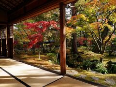 新発田・胎内の旅行記