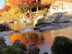 紅葉も最高潮♪　錦秋の稲武大井平公園♪＆ど派手な名古屋別小江神社♪