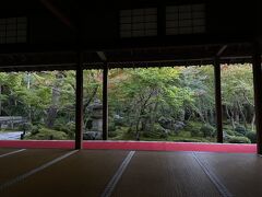 そうだ圓光寺行こう～紅葉には早すぎた～