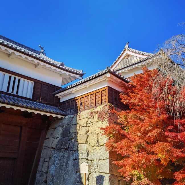 主人と埼玉県にある親類のお墓参りをした後に、どこか足を伸ばして紅葉でも見たいと言うことになり。<br />前から行ってみたかった上田城へ!<br /><br />紅葉は見頃でお天気にも恵まれ良い秋の一日でした。<br /><br />行ってきた次の日にバナナマンのせっかくグルメでちょうど上田市やってて、美味しいものもたくさんある良いところですね~。今回は日帰りでしたが、別所温泉など近くに温泉もあるので泊まりでもまた行きたいな。<br />