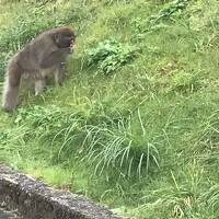 黒部峡谷トロッコの旅と富山駅周辺～秋の陣　I