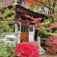 神経痛にはやっぱり温泉？北陸温泉紀行【2】猫寺御誕生寺と巣ごもり山代温泉編