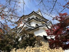 2021年11月　紅葉狩り・彦根城と玄宮園