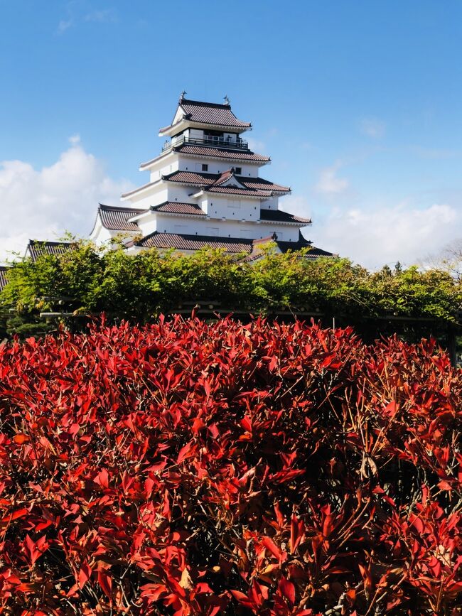 福島市滞在中の週末、紅葉の名所として知られる会津若松市を散策、まずは会津若松城、別名鶴ヶ城を訪れた。東北地方の県庁所在地は新幹線で結ばれて本当に便利になったが、ひとたび沿線を外れるとその落差に直面することになる。いやむしろ昔ながらの変わらぬ風景が残っていて、旅情を掻き立てられる、と言うべきか。会津若松もそんな街だ。鶴ヶ城は1593年に築かれ、1868年の戊辰戦争まで現存したが、残念ながらその後解体された。1965年に鉄筋コンクリート造で再建された。その規模は江戸以北では群を抜く規模だ。赤い瓦と、名古屋城の金の鯱に対抗して銀の鯱を持つなど話題に事欠かない。もちろん、もみじ、銀杏は見ごろで素晴らしかった。<br /><br />福島県博物館は市の中心部から鶴ヶ城へ向かう手前にある。1986年に開館した県立の博物館で、福島県の古代から現代までの歴史、民俗資料、自然資料などが展示されている。中でも竪穴式住居の復元や原山出土の埴輪は興味深く、道具や衣装を体感できる体験学習室もある。周囲は春の桜の名所でもあり、秋は紅葉が見事である。<br /><br />福島から車で走る途中、裏磐梯を経由して会津若松に向かった。五色沼に立ち寄る予定だったが、雨のため断念、代わりに磐梯山噴火記念館の看板を見つけ立ち寄ることにした。この記念館は磐梯山が1888年に大爆発した100年後の1988年に、桧原湖の南側に建設された。１階の入り口奥には、磐梯山が爆発した瞬間の映像が床の振動を伴って再現され迫力がある。爆発後の惨状、水没した村、鉱物、写真などの資料やビデオなどを使って展示されている。学術的にも価値が高い、訪れる価値のある記念館だ。