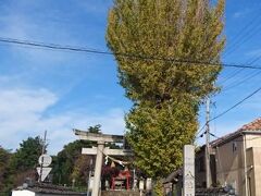 【お散歩テケテケ】運動不足解消に歩きましょう。<二川八幡神社>