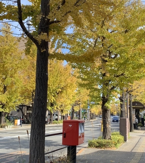 混雑を避ける為に銀杏祭りの前日に甲州街道を歩いて見た。