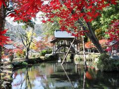 兵庫の丹波と宍粟の紅葉巡り