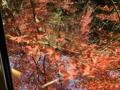 鞍馬で紅葉狩り