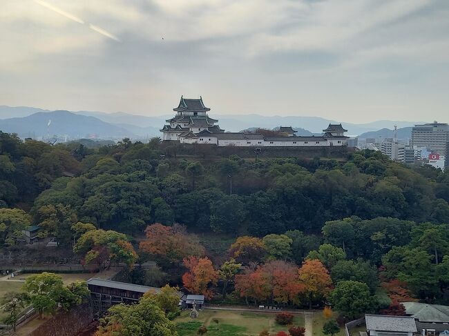 今回、初和歌山で和歌山市内をいろいろ廻ってきました。本来の予定からは狂ってしまいましたが、本旅行記では、予定も含め、和歌山城や和歌の浦周辺の観光処以外をご紹介します。