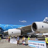 A380フライングホヌ 沖縄初フライトの旅 2021