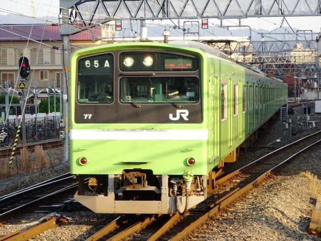今回は1年ぶりに阪神地方を周遊しました。1日目は新幹線で京都へ、そこから奈良線、関西線、大阪東線と乗り鉄、2日目は神戸、須磨、六甲で紅葉と夜景を楽しむ。3日目は子どものころ住んでいた西宮で紅葉めぐり。4日目は大阪で撮り鉄ののち帰る、という行程です。<br /> 旅程に余裕を持たせて、現地で見たいところを巡るという方式でとにかく阪神の寺社や山々の紅葉を見てきました。<br /> 1日目となる第1部は、全通以降乗っていなかったおおさか東線をメインに乗り鉄です。<br /><br /> 1日目の行程<br />1.京都まで新幹線。<br />2.奈良線快速、大和路線快速、久宝寺から新大阪まで大阪東線と乗車。<br />3.ホテルに荷物を置いた後、ミナミ新世界へ。<br />