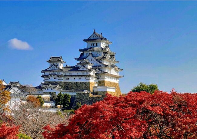 どうせ歩くならキレイな風景を観ながらウォーキングする方が楽しい、加えて、地元グルメや温泉も堪能できたらサイコーですよね(^^)<br /><br /><br /> という視点で関西近郊の観光スポットを研究し、基本的に公共交通機関を利用して、名所巡りをしてきています(^^)<br /><br /><br /> 今回は「初めての姫路城&魚の棚商店街グルメ」編ですが、脚は勿論、目&舌も楽しむことができました(^^)<br /><br /><br /><br /><br />