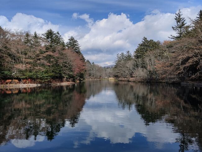 交通費を節約するため購入した西武高速バスセット券は、鬼押出し園の入園料と軽井沢・鬼押出し園間のバス料金（乗り放題と銘打っていますが、1路線のみ）も含まれているので、2日めは鬼押出し園へ！<br /><br />って、西武バスさん、11月のバスダイヤの改正で1便めが11:30発って、ひどくないですか？<br />チケット購入した時は10:00発が1便だったので、予定を組んだのに～。<br />まさか、こんなに違うとは～、つくづく軽井沢の11月は冬なんだと思い知らされました（笑）<br /><br />2日め<br />万平ホテル…旧軽銀座…雲場池…軽井沢駅→（バス）→鬼押し出し園：ランチ・散策→（バス）→千ヶ滝温泉…トンボの湯バス停→（バス）→軽井沢駅…夕食:高美亭→（タクシー）→万平ホテル<br /><br />本日は19558歩！よく歩きました（笑）