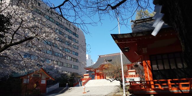 3月下旬の春、新宿の周辺を散歩しました。<br /><br />花園神社では桜も開花していてとてもきれいな新宿の姿を見ることができました。