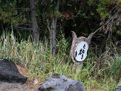 桜島の狸岩