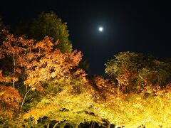 20211116-20211122 京都 戻って来ましたら、紅葉とか黄葉の季節やね