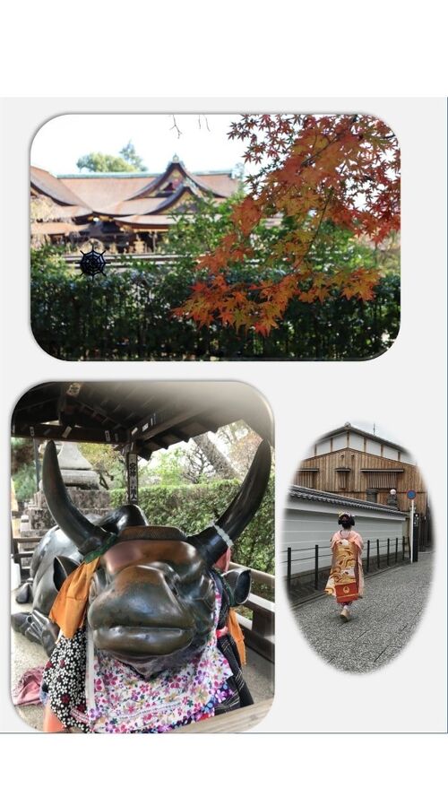 京都を創る名匠たち 舞妓さんのおこぼ ゝや（ちょぼや）二代目
