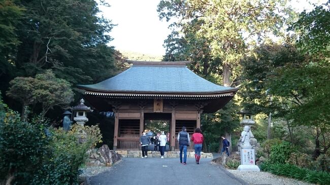 もみじ祭りの１週間前、紅葉はどんな感じかな? ヒマラヤ桜は満開だね。<br /><br />開山 : 神亀4年(727年)