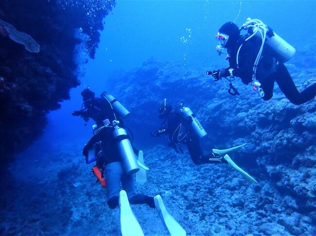 ３本目は慶留間島にあります慶留間洗岩というポイントです。<br />島には教室から鯨が見える小学校があり、そのちょっと沖合になります。最大水深は１６M、平均水深は１０Mです。<br />ウミウシが多く見受けられました。<br />出口がハート形に見える洞窟があるのですがカメラの不調でよくは撮れてはいません。<br />https://youtu.be/VWaLr4r_v3I