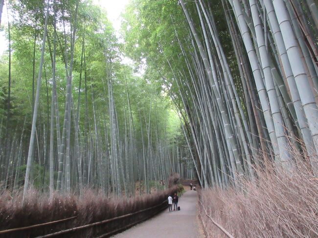 京都・庭園を巡る旅
