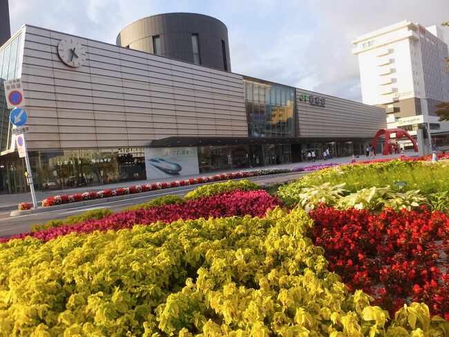 １日乗車券で五稜郭へ、そして函館山の山麓の街歩きです。<br />今日のテーマは３つ。<br />（１）新選組の戦跡めぐり<br />（２）函館山麓の建物めぐり<br />（３）函館の坂めぐり<br />全部１日に詰め込んだのでけっこうたいへん。<br />でも楽しかったです。<br />最後に湯の川温泉の足湯に浸かったあと函館空港へ。<br />今回もいい旅になりました。<br /><br /><br />