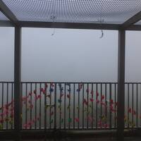 週末箱根小旅行　２日目　風鈴火山駒ヶ岳。