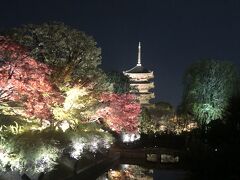 京都で紅葉狩り♪詩仙堂、圓光寺、曼殊院と東寺のライトアップ編